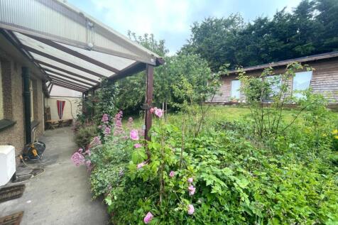Garden Three.JPG