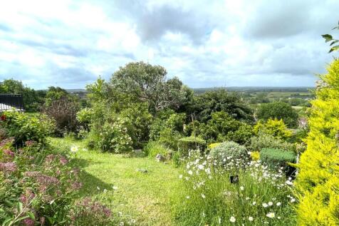 Garden.JPG