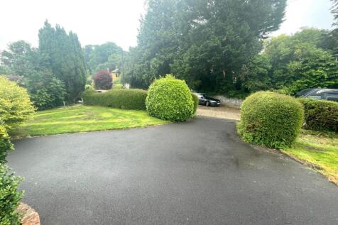 Driveway.JPG