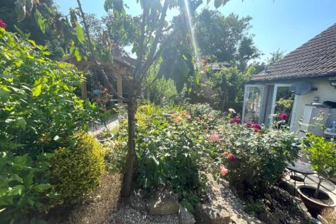 Garden.JPG