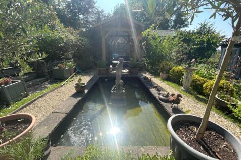 Pond.JPG