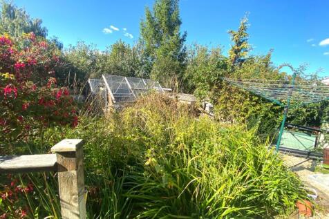 Garden Two.JPG