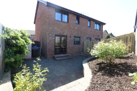 View of Rear Garden