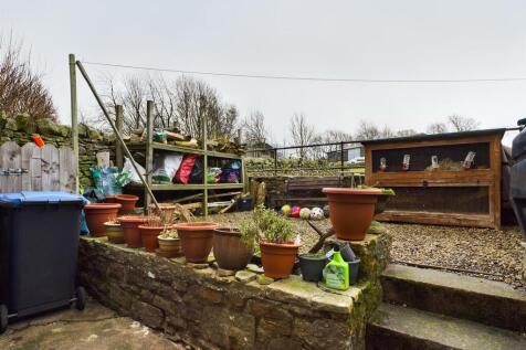 Rear yard.jpg