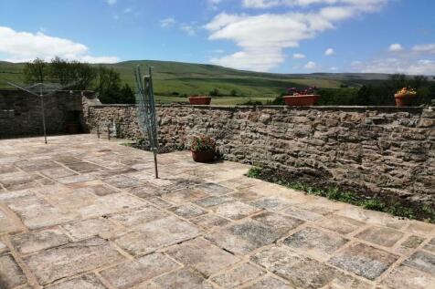 Rear Yard