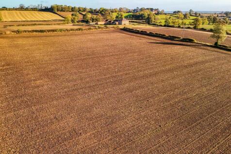 Drone picture.jpg
