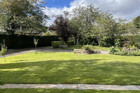 Garden 5