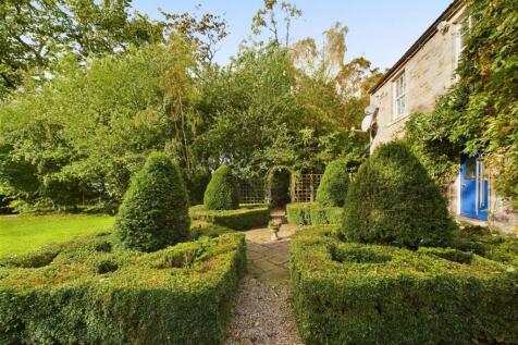 Garden 2.jpg