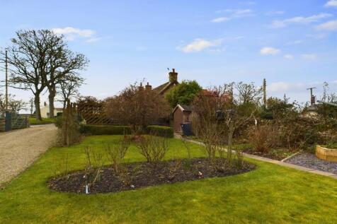 garden 2.jpg