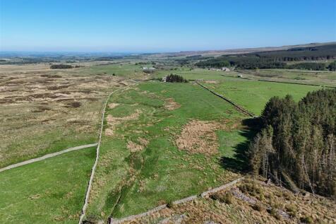 DJI_20250513153251_0876_D.JPG