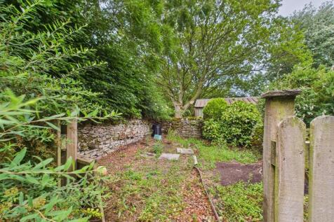 garden 2.jpg