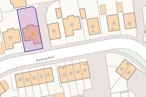 Guide plan 43 Buttercup Road.png