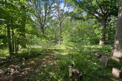 Woodland