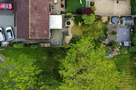 Birds-Eye