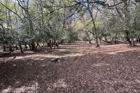 Property Image 8