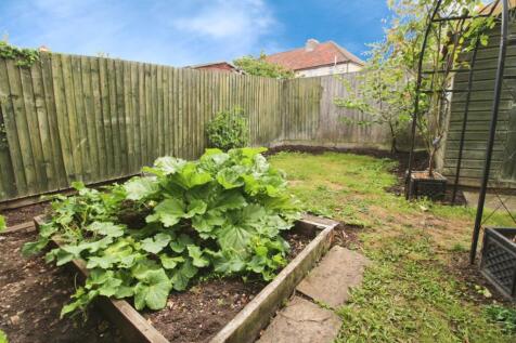 Veg Patch