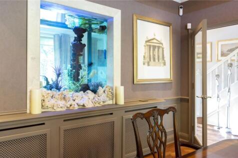 Aquarium Detail