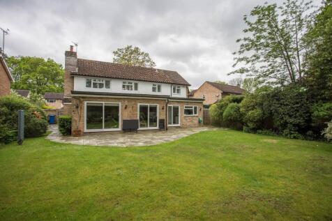 Property Image 19