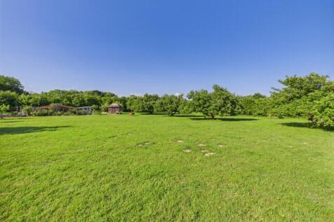 Meadow