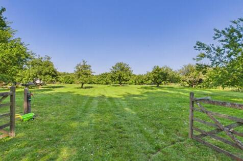 Meadow 2