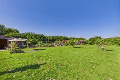 meadow 3