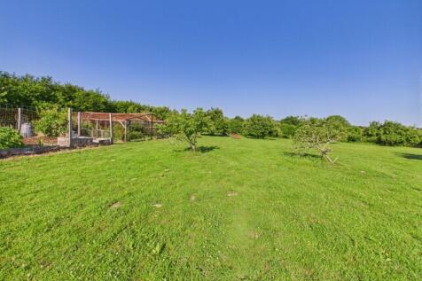 Meadow 8