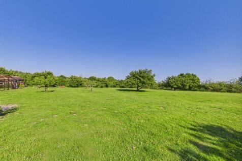 Meadow 9