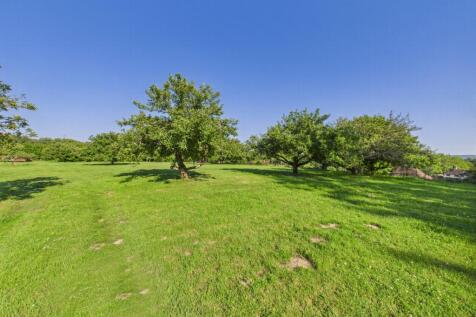 Meadow 10