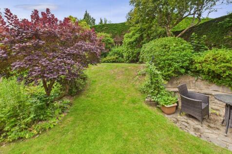 Rear garden 5