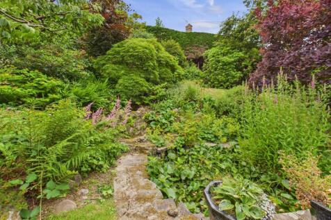 Rear garden 6