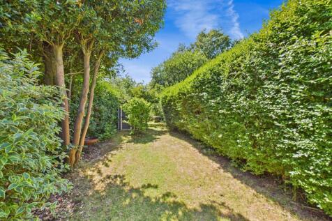 garden 4