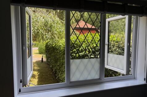 Window View