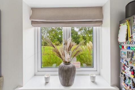 Kitchen View