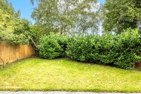 Rear of Property