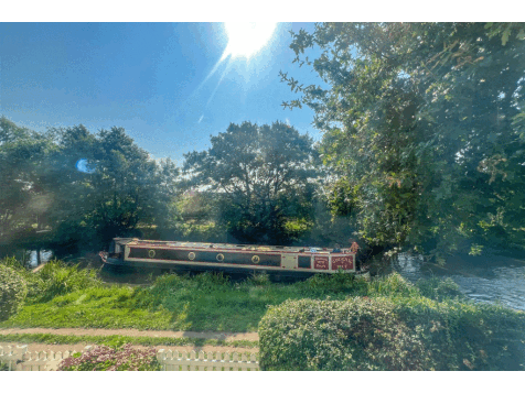 IMG_3043.gif