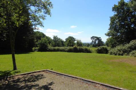 Shared Grounds