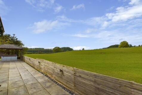 12-Rear_Garden-F