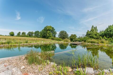 Property Image 34