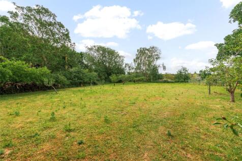 Orchard