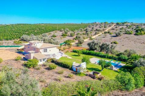 Drone backyard (Large).jpg