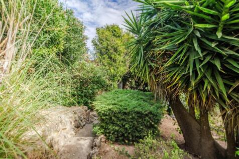 32-garden.JPG