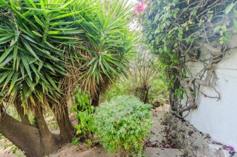 33-garden.JPG