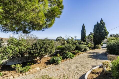 GARDEN 3.jpg