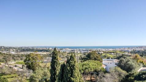 DJI_0178.jpg