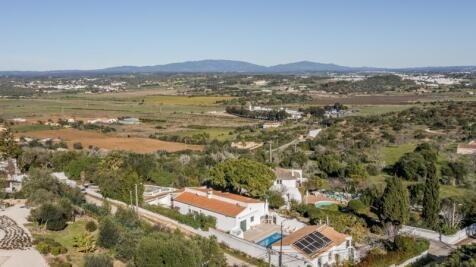 DJI_0183.jpg