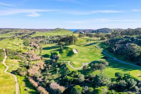 DJI_0987.jpg