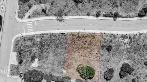 DJI_0620.jpg