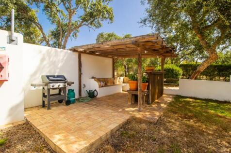 BBQ (Large).jpg