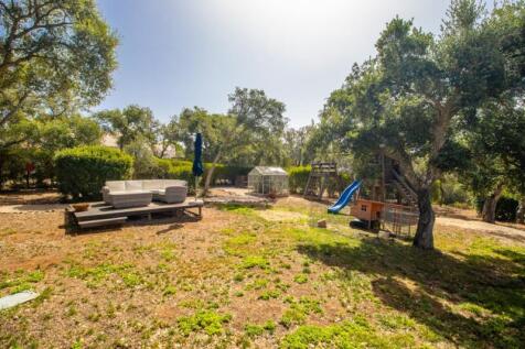 Garden (3) (Large).jpg