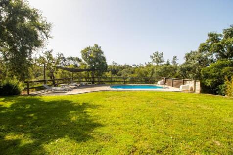 Garden (Large).jpg